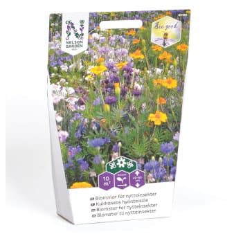 Se Blomster til nytteinsekter Dækker 10 m2 ❤ Stort online udvalg i Nelson Garden ❤ Hurtig levering: 1 - 2 Hverdage samt billig fragt - Varenummer: PTT-87156 og barcode / Ean: på lager - Udsalg på Vildfrø > Frø til eng og natur Spar op til 58% - Over 785 kendte brands på udsalg