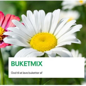 Se Buketmix 1 kg. pose ❤ Stort online udvalg i Plantetorvet ❤ Hurtig levering: 1 - 2 Hverdage samt billig fragt - Varenummer: PTT-94656 og barcode / Ean: på lager - Udsalg på Vildfrø > Frø til eng og natur Spar op til 58% - Over 392 kendte brands på udsalg