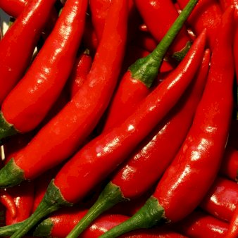 Se Øko Chili 'Positano' ❤ Stort online udvalg i Plantetorvet ❤ Hurtig levering: 1 - 2 Hverdage samt billig fragt - Varenummer: PTT-96751 og barcode / Ean: på lager - Udsalg på Chilipeber Spar op til 57% - Over 424 kendte brands på udsalg