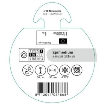 Se Bispehue Bakke med 12 stk. ❤ Stort online udvalg i Plantetorvet ❤ Hurtig levering: 1 - 2 Hverdage samt billig fragt - Varenummer: PTT-96061 og barcode / Ean: på lager - Udsalg på Stauder > Bispehue Spar op til 66% - Over 360 kendte mærker på udsalg