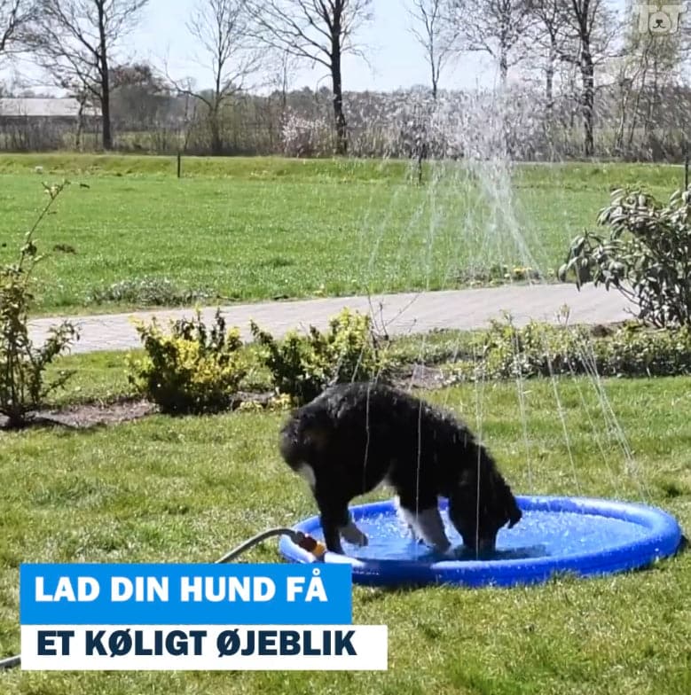 Se Sprinklermåtte til kæledyr Ø: 100 cm - Tilsluttes haveslange ❤ Kæmpe udvalg i stockgroup ❤ Hurtig levering: 1 - 2 Hverdage samt billig fragt - Varenummer: CPD-SG773171298 og barcode / Ean: &