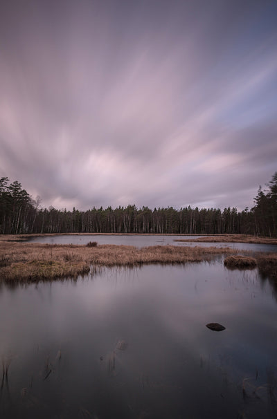 Se The Tree Line af Mikkel Beiter ❤ Stort online udvalg i Mikkel Beiter ❤ Hurtig levering: 1 - 2 Hverdage samt billig fragt ❤ Varenummer: ILL-13561 og barcode / Ean: på lager - Udsalg på Illux Art shop - Fotokunst - Mikkel Beiter - Natur - Natur fotokunst - Skov - Hav og strand Spar op til 55% - Over 434 design brands på udsalg